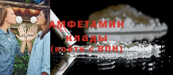 гидра Белокуриха