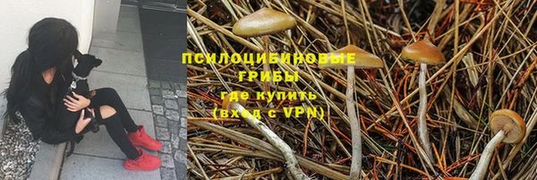 гашик Баксан
