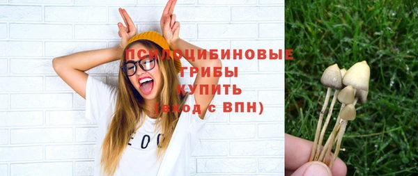 хмурый Балабаново