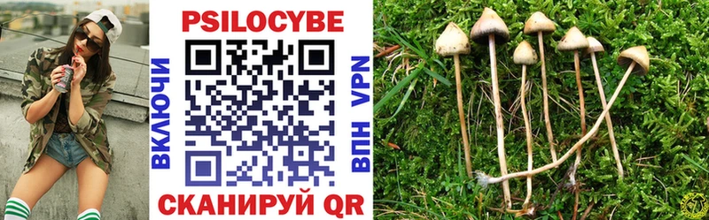 Галлюциногенные грибы MAGIC MUSHROOMS гидра как зайти Беломорск